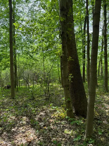 $308,000 | V/l Scottdale Road, Berrien Springs, MI 49103