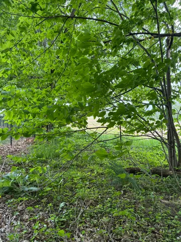 $308,000 | V/l Scottdale Road, Berrien Springs, MI 49103