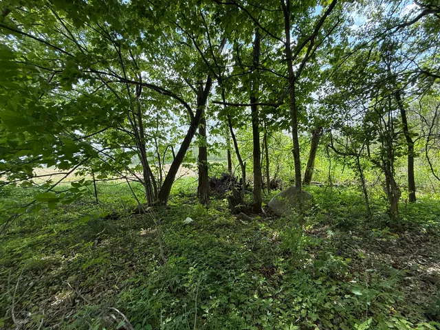 $308,000 | V/l Scottdale Road, Berrien Springs, MI 49103