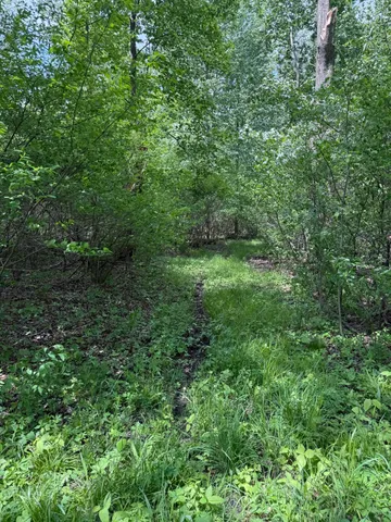 $308,000 | V/l Scottdale Road, Berrien Springs, MI 49103