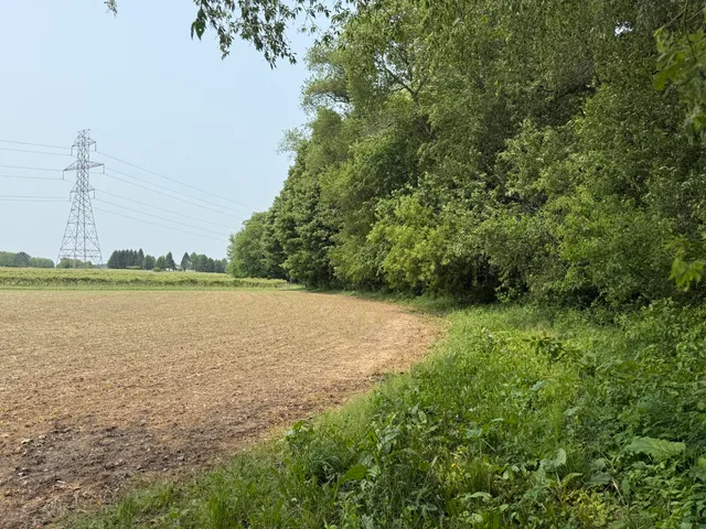 $308,000 | V/l Scottdale Road, Berrien Springs, MI 49103