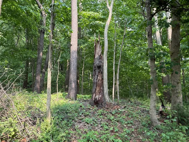 $308,000 | V/l Scottdale Road, Berrien Springs, MI 49103