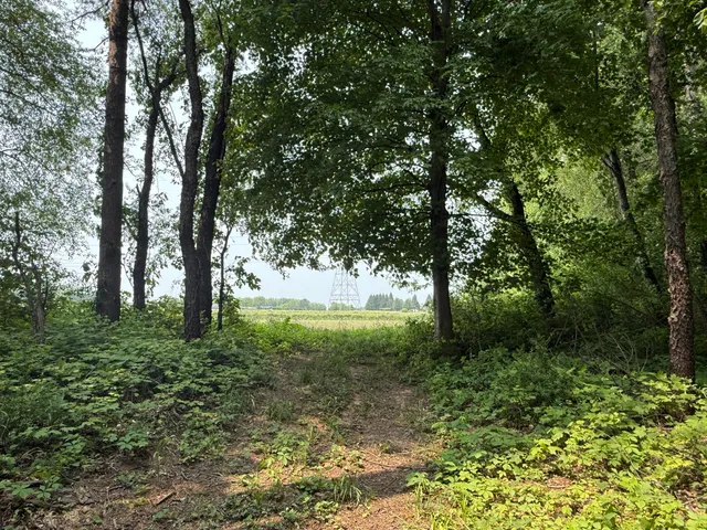 $308,000 | V/l Scottdale Road, Berrien Springs, MI 49103