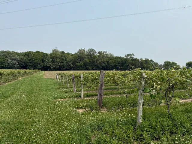 $308,000 | V/l Scottdale Road, Berrien Springs, MI 49103