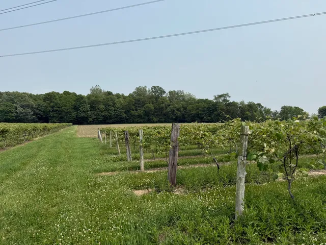 $308,000 | V/l Scottdale Road, Berrien Springs, MI 49103