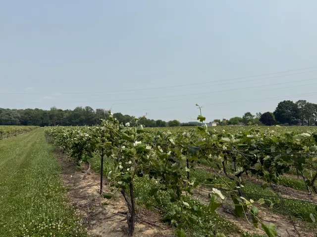 $308,000 | V/l Scottdale Road, Berrien Springs, MI 49103