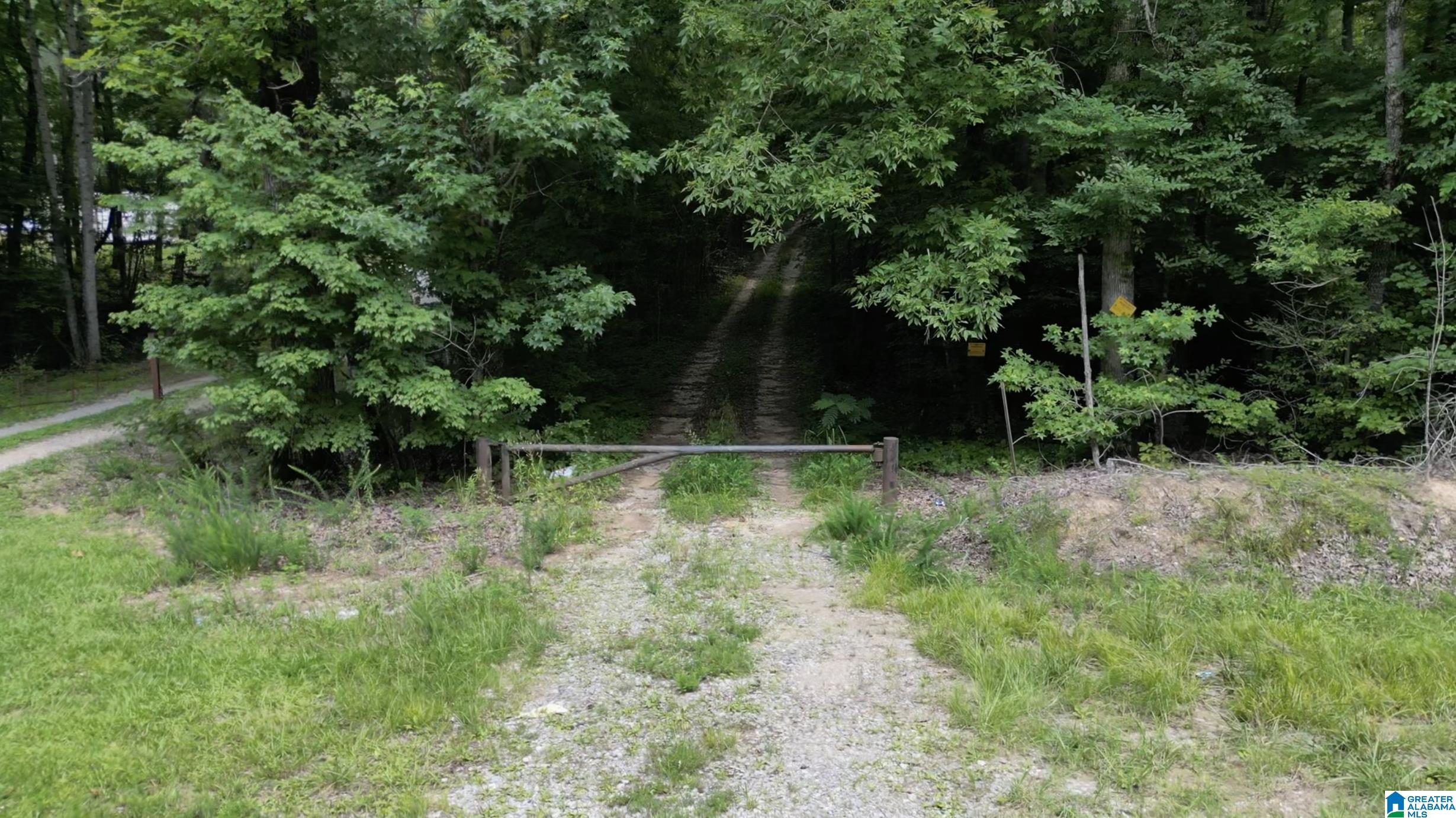 9600 Highway 77, Unit 1 Ohatchee, AL 36271 - Photo 4 of 18