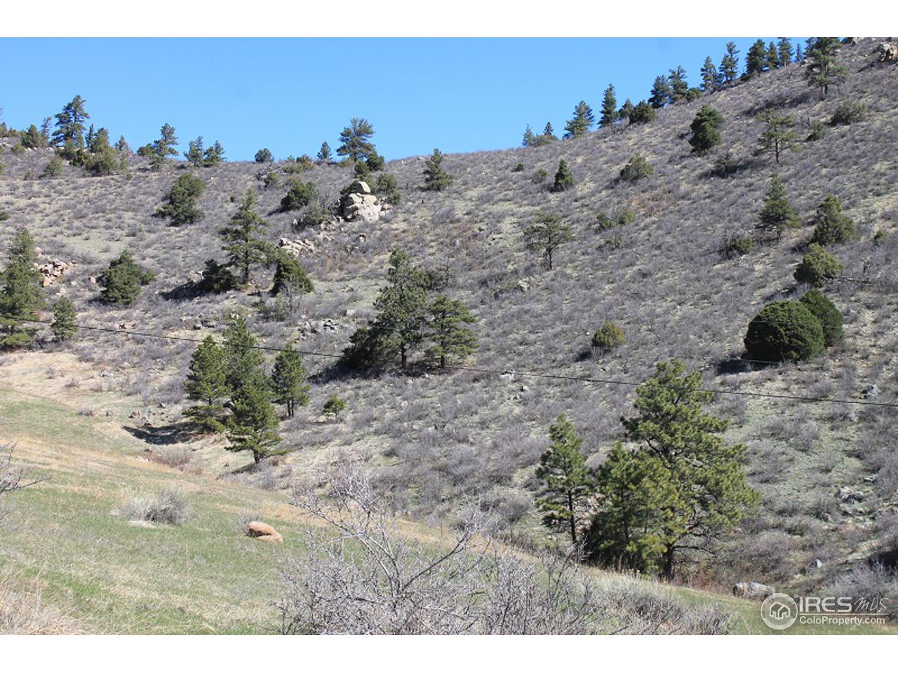 0 Bonner Springs Ranch Road Laporte, CO 80535 - Photo 14 of 19 Gallery Image 14