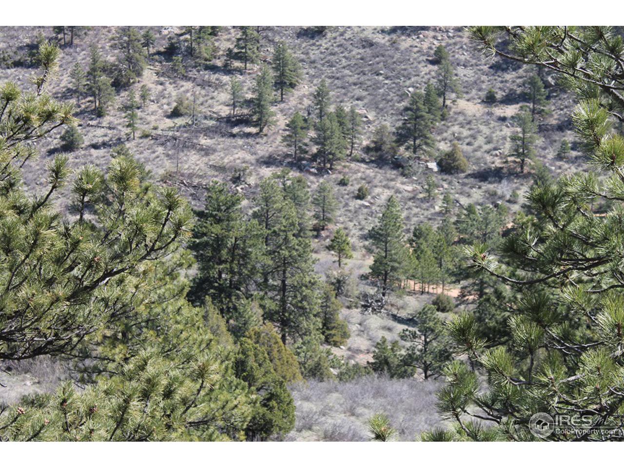 0 Bonner Springs Ranch Road Laporte, CO 80535 - Photo 15 of 19 Gallery Image 15