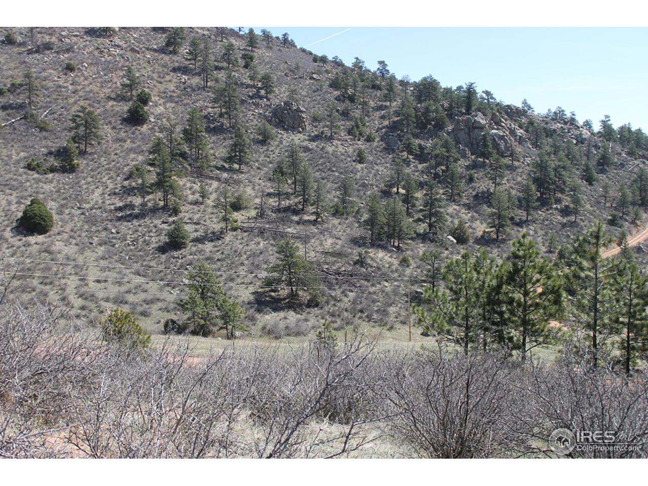 0 Bonner Springs Ranch Road Laporte, CO 80535 - Photo 16 of 19 Gallery Image 16