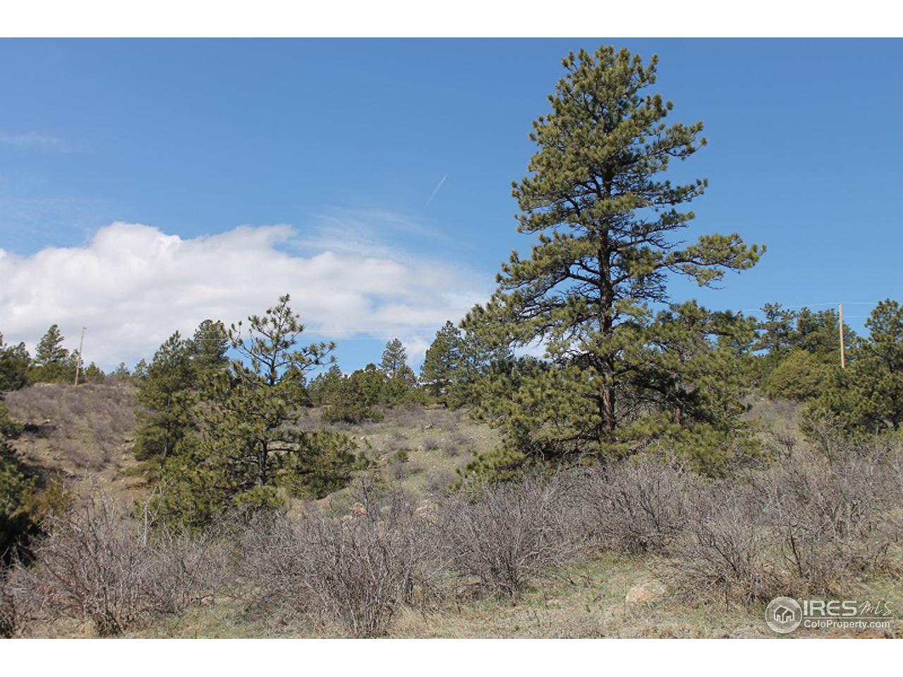 0 Bonner Springs Ranch Road Laporte, CO 80535 - Photo 17 of 19 Gallery Image 17