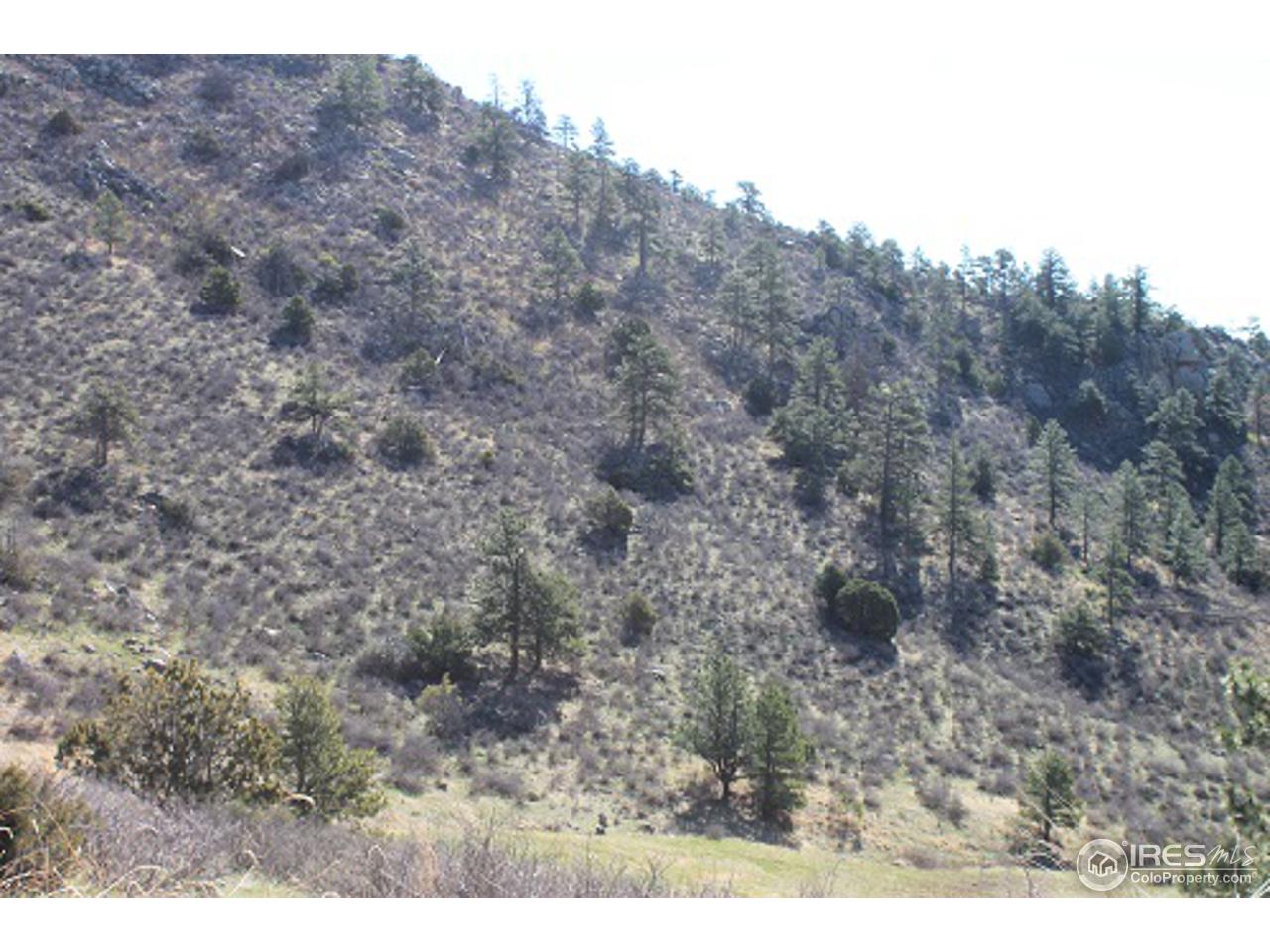 At the Base of Bonner Peak