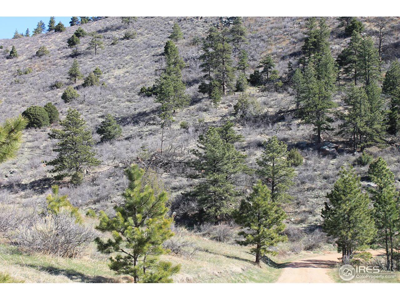 0 Bonner Springs Ranch Road Laporte, CO 80535 - Photo 8 of 19 Gallery Image 8