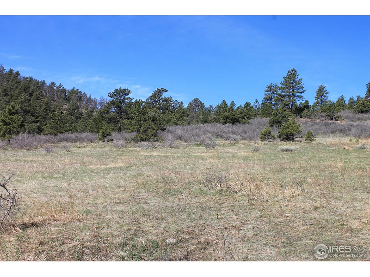 0 Bonner Springs Ranch Road Laporte, CO 80535 - Photo 10 of 19 Gallery Image 10