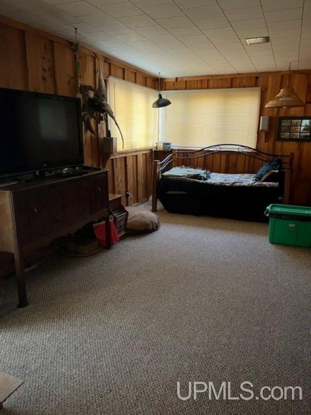4895 Carpenter Road Florence, WI 54121 - Photo 13 of 24