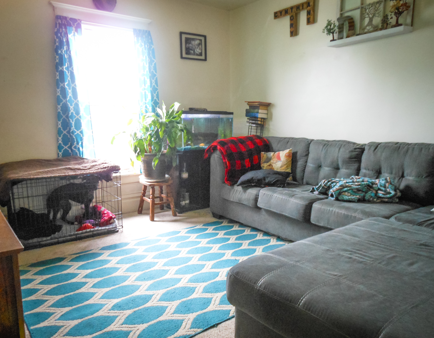 203 5th Avenue Rochelle, IL 61068 - Photo 13 of 25 a living room with furniture and a fireplace