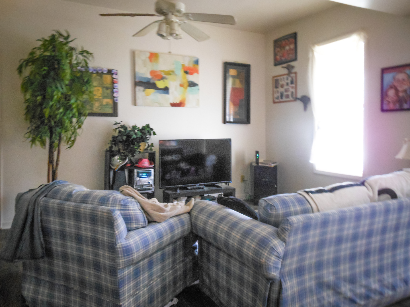 203 5th Avenue Rochelle, IL 61068 - Photo 20 of 25 a living room with furniture and a flat screen tv