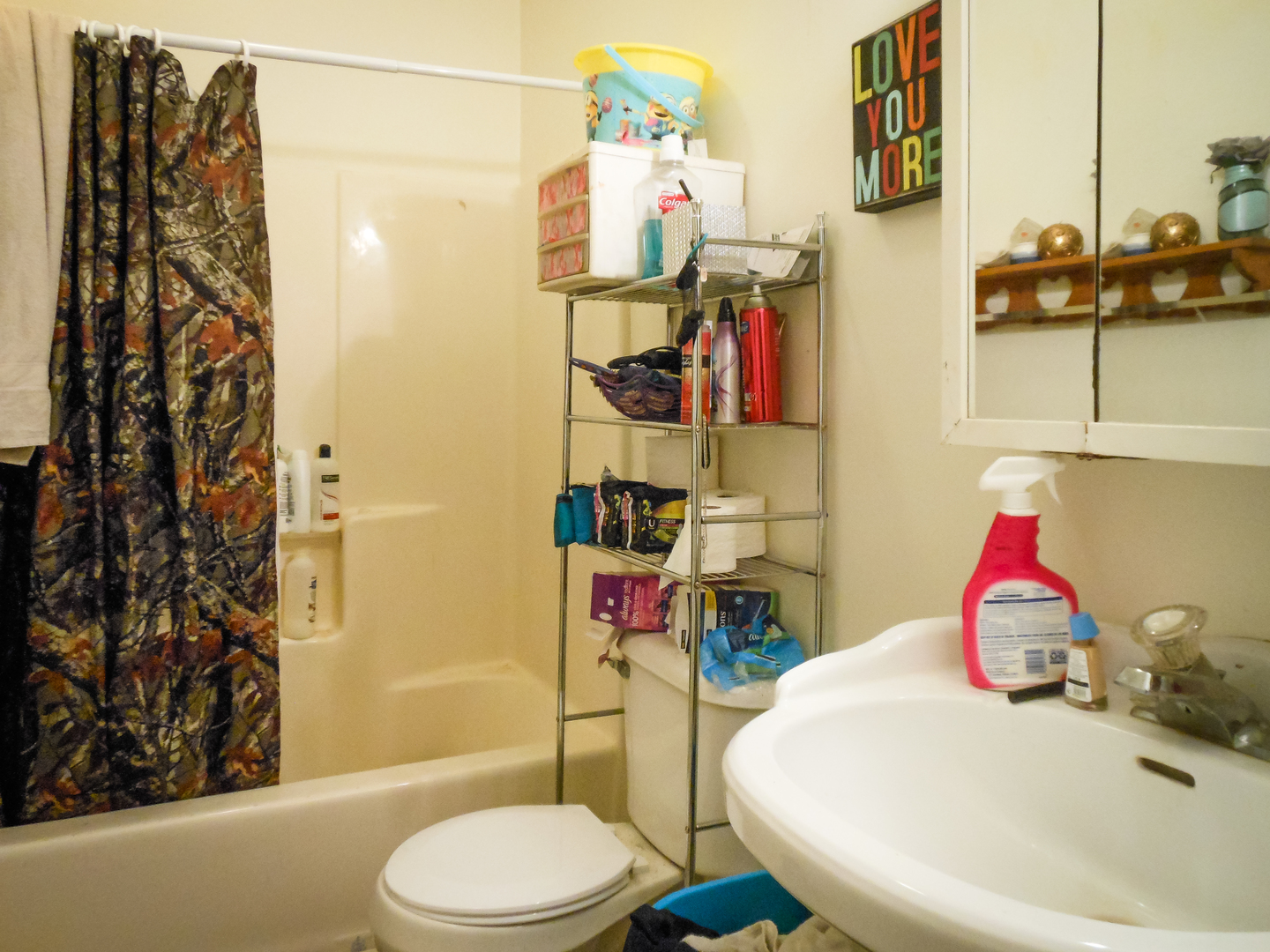 203 5th Avenue Rochelle, IL 61068 - Photo 23 of 25 a bathroom with a sink toilet and shower