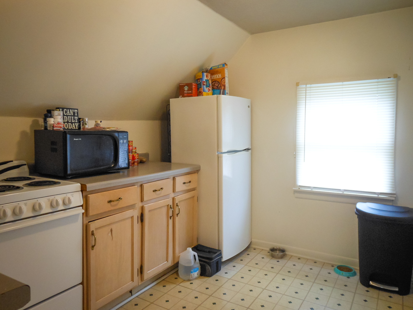 203 5th Avenue Rochelle, IL 61068 - Photo 4 of 25 a kitchen with sink cabinets and appliances