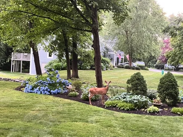 $799,500 | 53 Bagy Wrinkle Cove, Warren, RI 02885