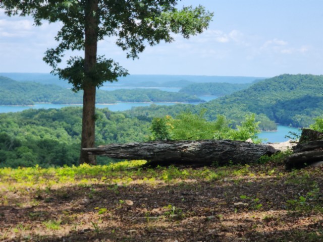 0 Rock Fish Road East Celina, TN 38551 - Photo 9 of 27