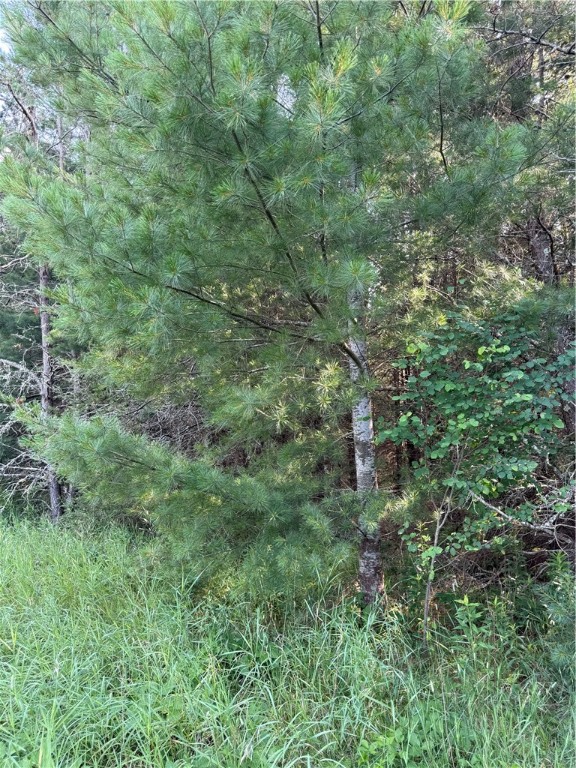 0 Tagalder Trail Hayward, WI 54843 - Photo 16 of 23