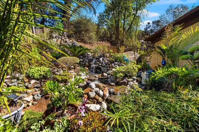a view of a tree with a plant