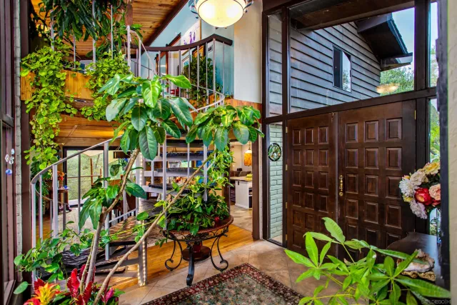 a plant that is in front of a house