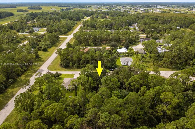 an aerial view of residential houses with outdoor space and trees