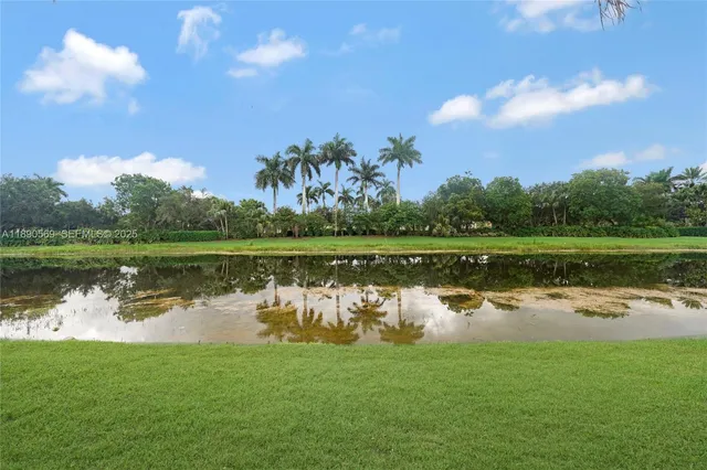 a house with palm tree in front of it