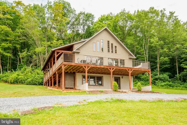 a view of a swimming pool with a yard and large tree