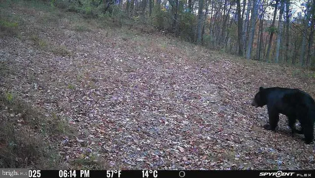 $1,468,000 | 300 Beegle Road, Everett, PA 15537