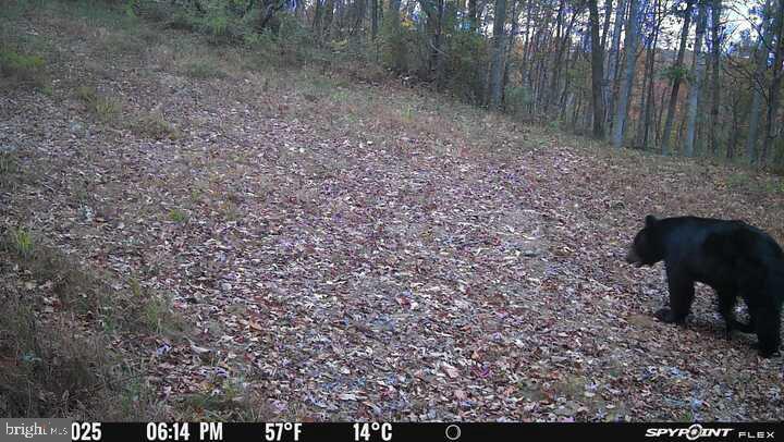 300 Beegle Road Everett, PA 15537 - Photo 101 of 114