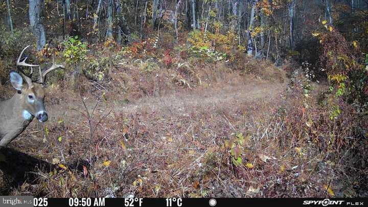 300 Beegle Road Everett, PA 15537 - Photo 102 of 114