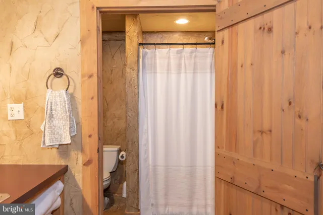 a lake view with a tree