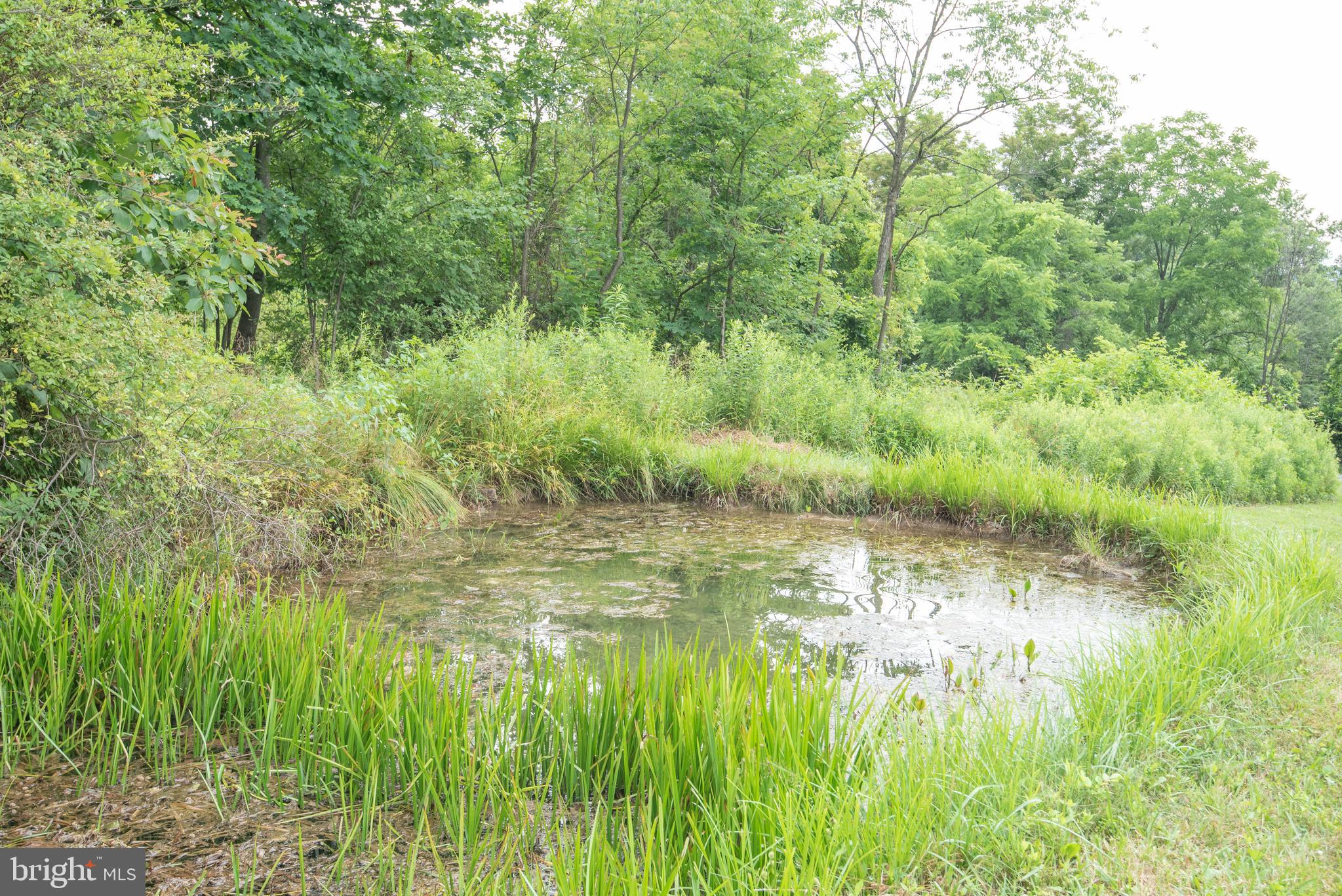 300 Beegle Road Everett, PA 15537 - Photo 56 of 114