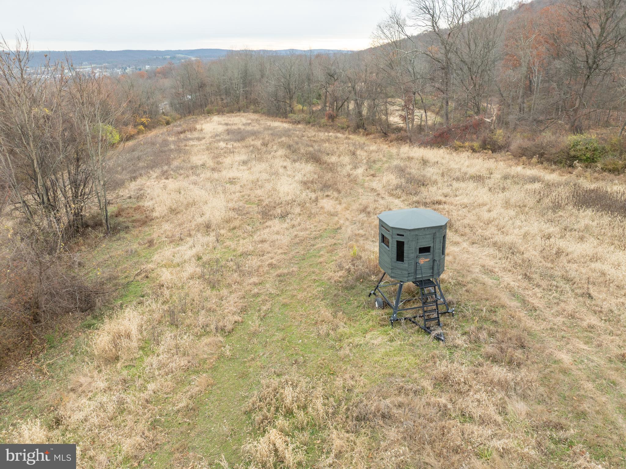 300 Beegle Road Everett, PA 15537 - Photo 82 of 114 a backyard of a house with large trees