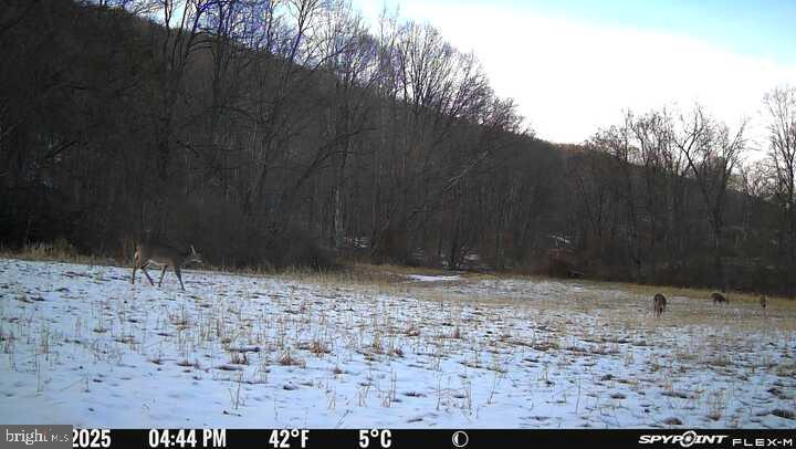 300 Beegle Road Everett, PA 15537 - Photo 92 of 114 a view of a backyard of a house
