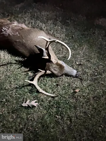 $1,468,000 | 300 Beegle Road, Everett, PA 15537