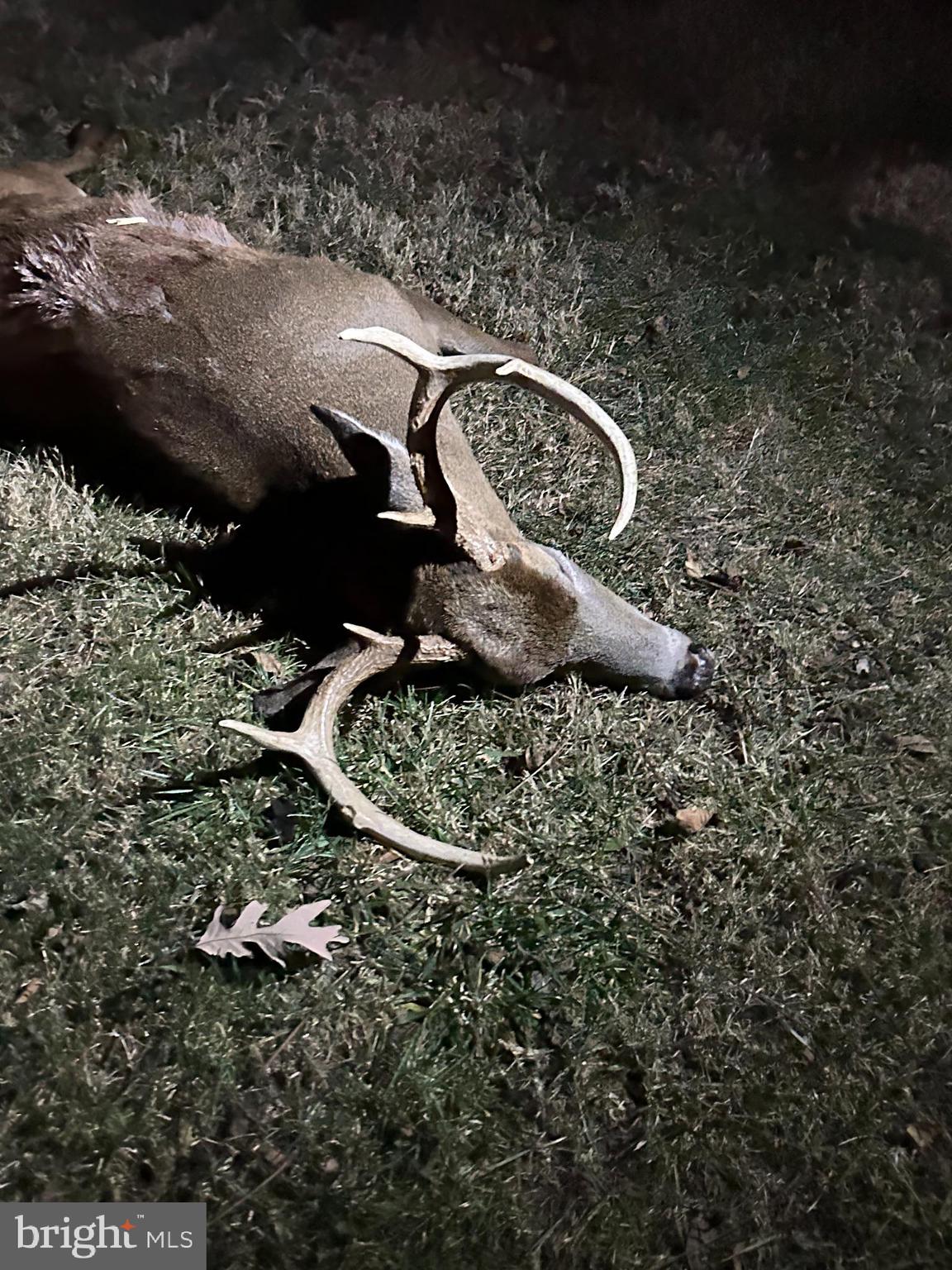 300 Beegle Road Everett, PA 15537 - Photo 94 of 114