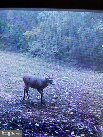 $1,468,000 | 300 Beegle Road, Everett, PA 15537