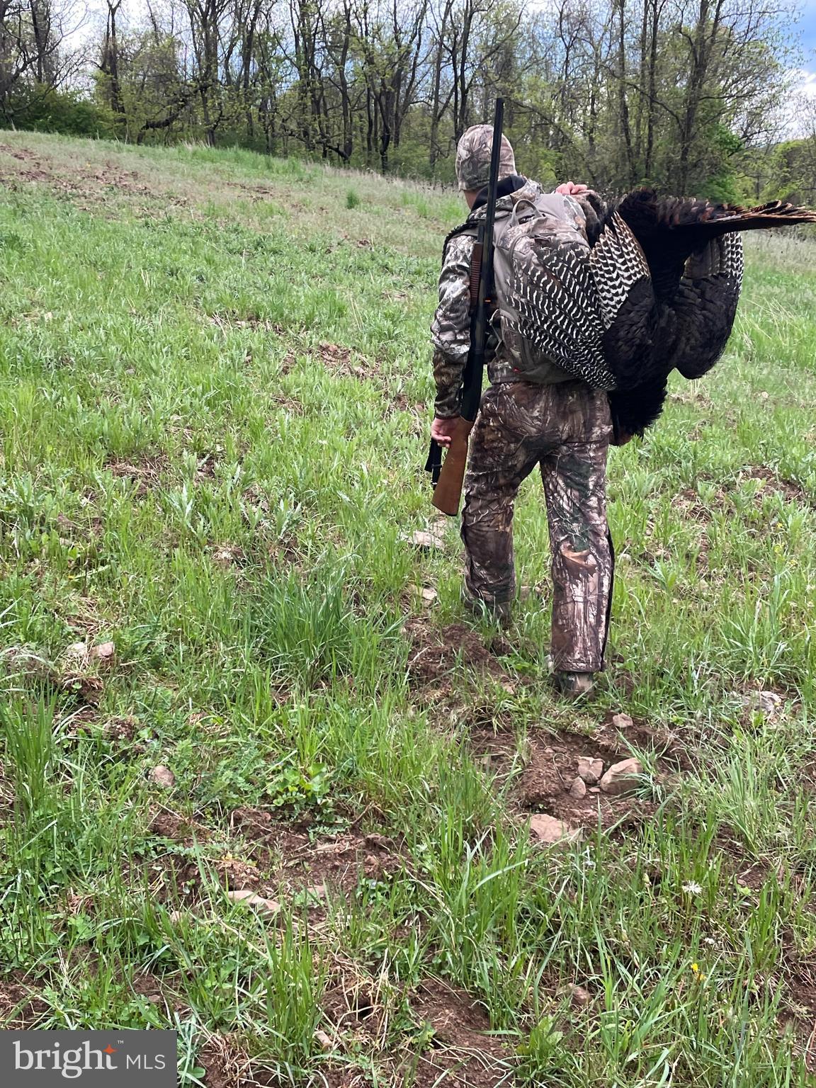 300 Beegle Road Everett, PA 15537 - Photo 97 of 114