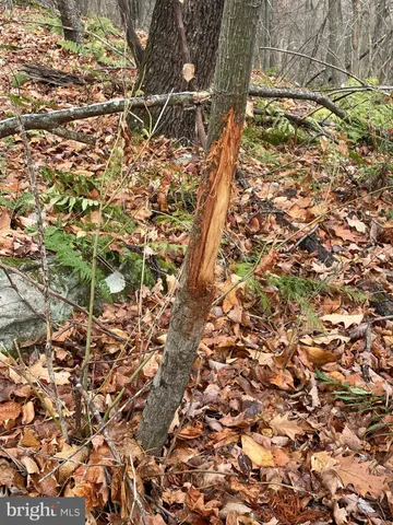 $1,468,000 | 300 Beegle Road, Everett, PA 15537