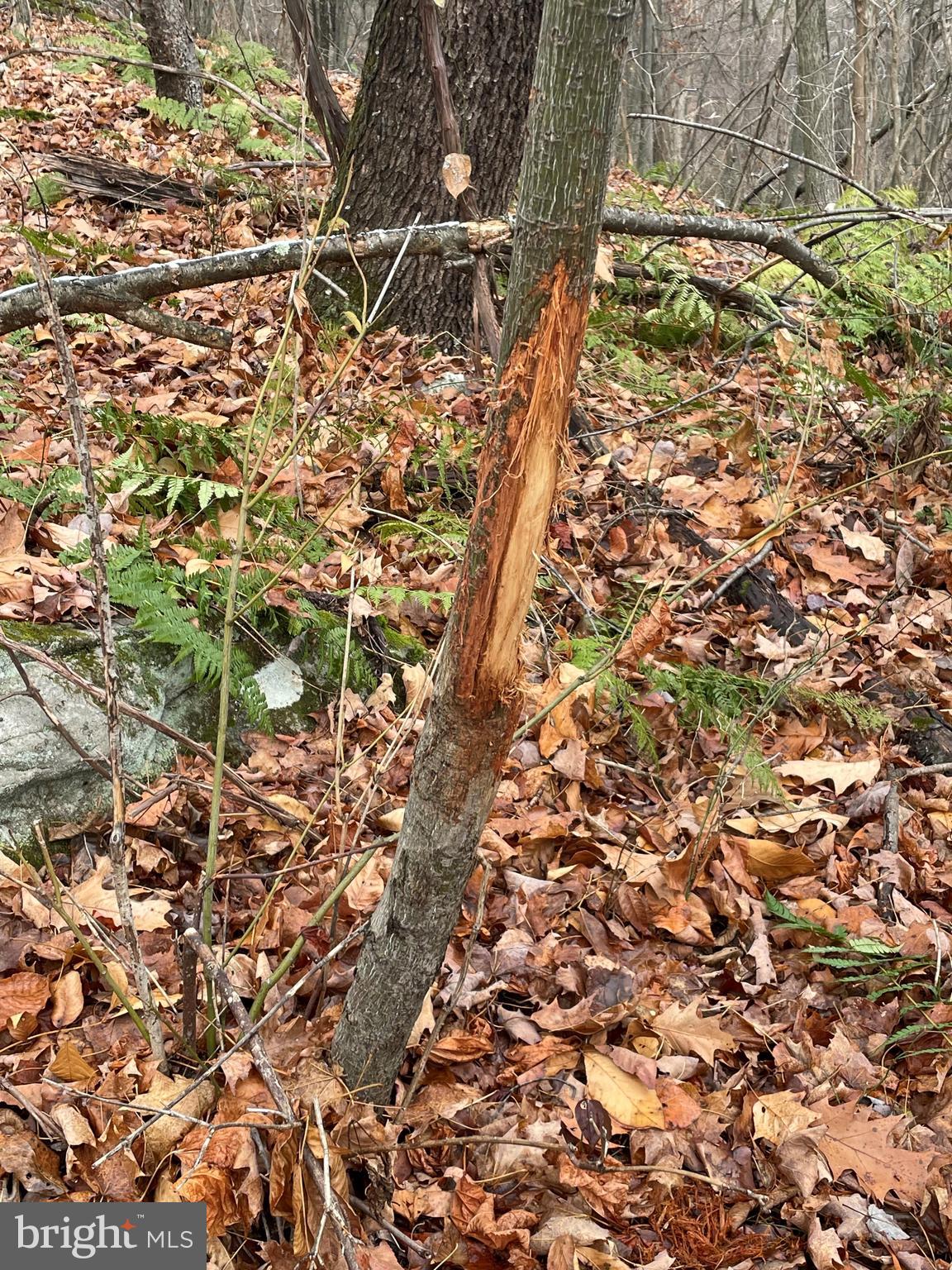 300 Beegle Road Everett, PA 15537 - Photo 98 of 114