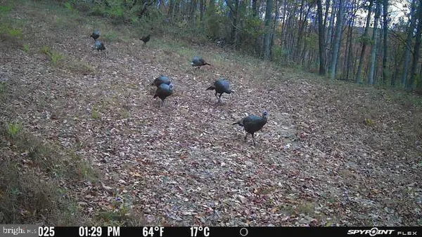 $1,468,000 | 300 Beegle Road, Everett, PA 15537