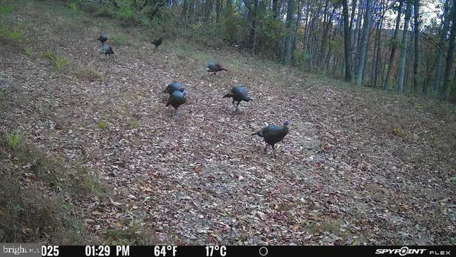 $1,468,000 | 300 Beegle Road, Everett, PA 15537