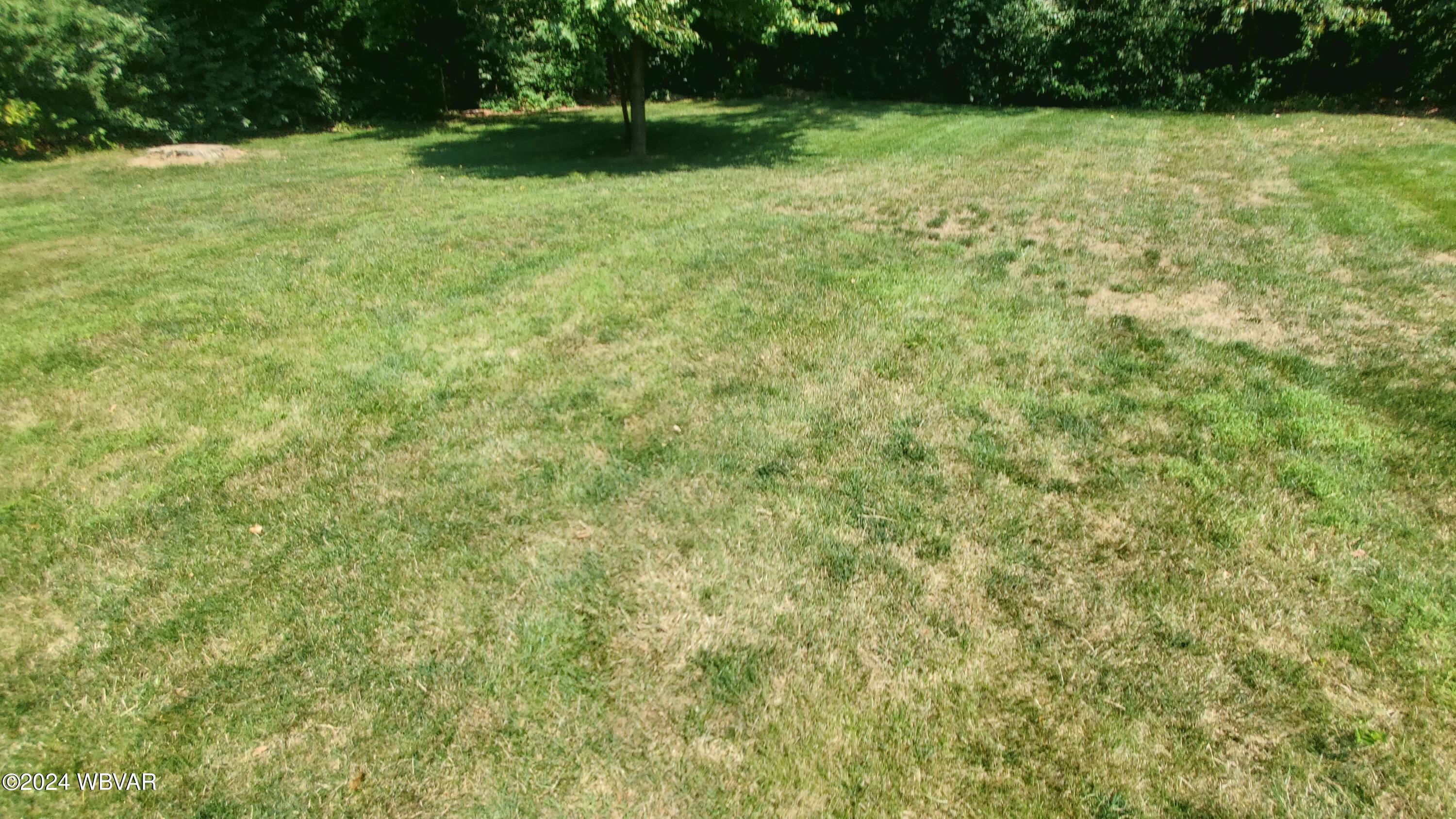 3043 Rauchtown Road Jersey Shore, PA 17740 - Photo 45 of 65 20240713_114158
