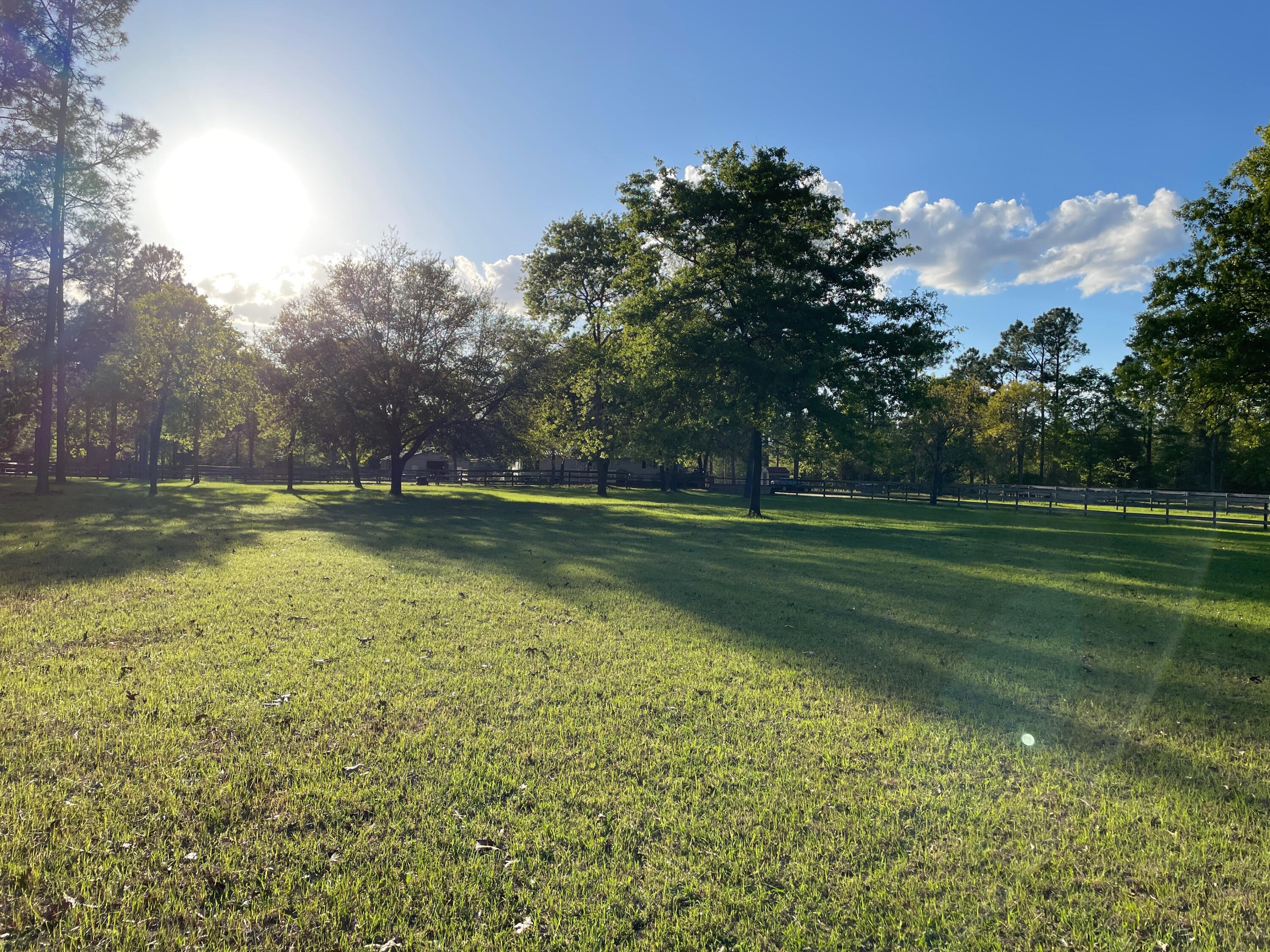 2138 Joyner Pond Road Aiken, SC 29803 - Photo 36 of 36 Gallery Image 36