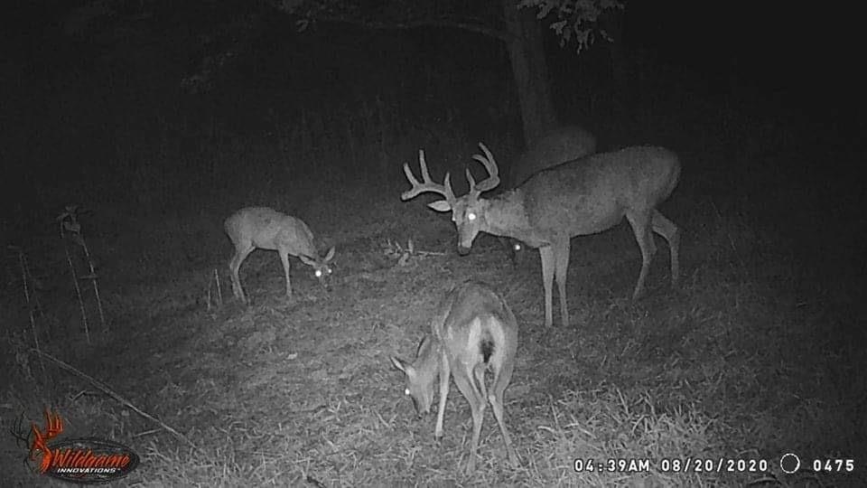 12700 Sheridan Road Burt, MI 48417 - Photo 13 of 20