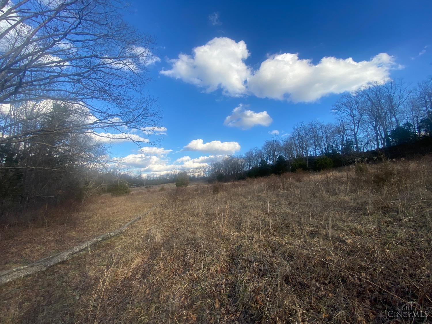41-ac Chestnut Ridge Road West Union, OH 45693 - Photo 1 of 22